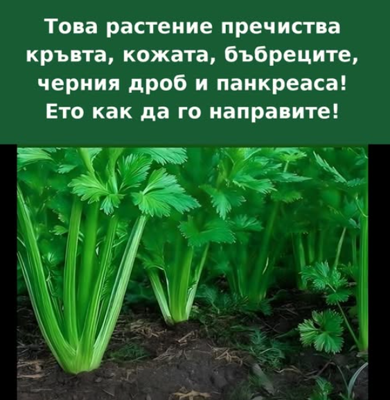 Screenshot_2