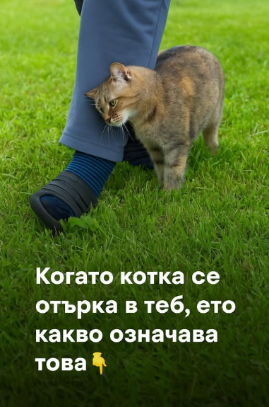 Screenshot_29