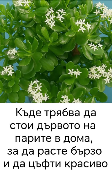 Screenshot_29