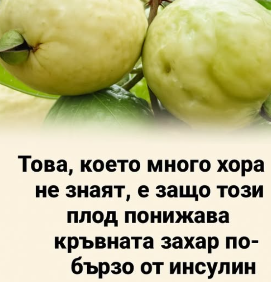 Screenshot_29