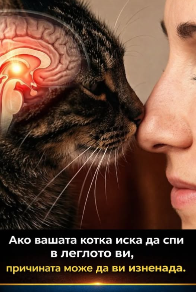 Screenshot_29