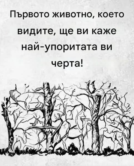 Screenshot_29