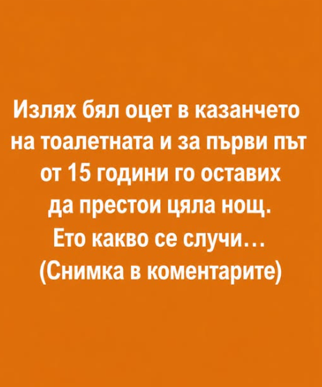 Screenshot_13