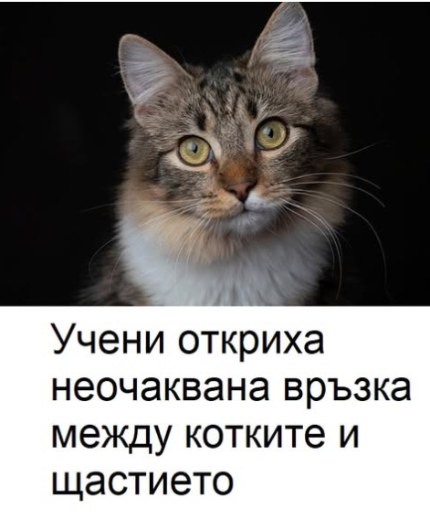 Screenshot_1