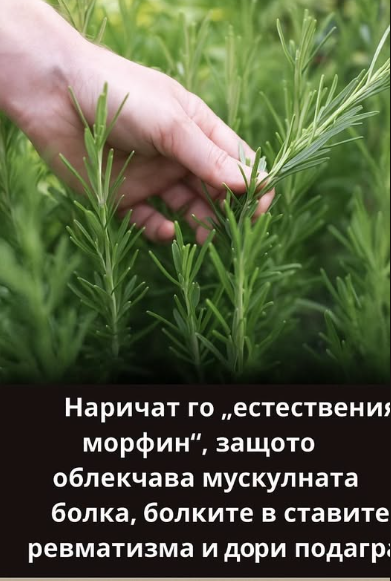Screenshot_22