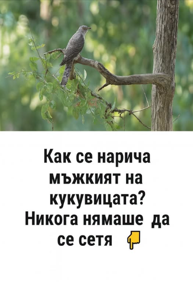 Screenshot_26