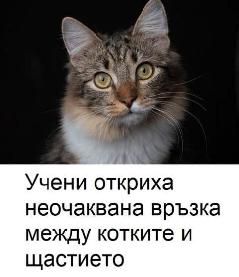 Screenshot_29